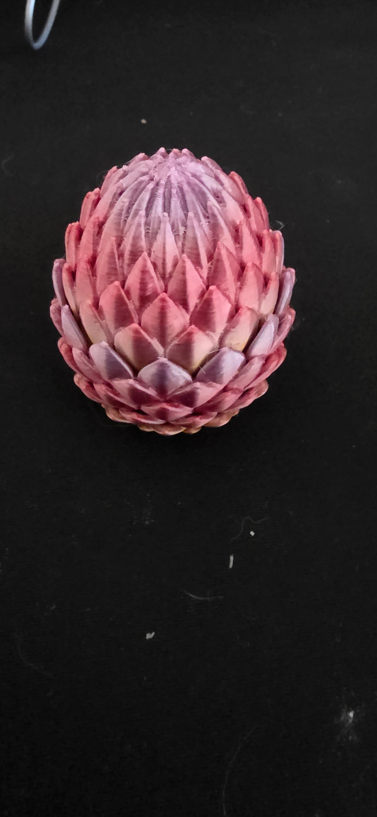 Mystery dragon eggs